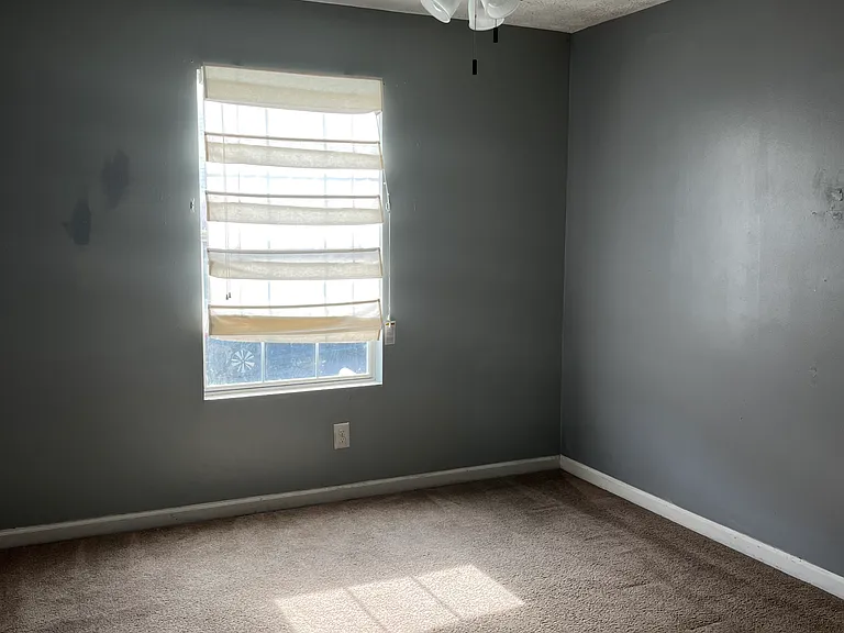7456 Edenberry Way — Photo 10