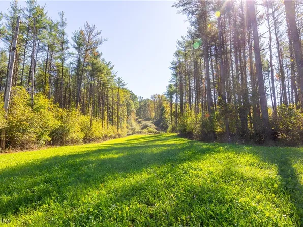 Deersville Ridge Rd, Cadiz, OH 43907