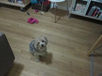 Rented by City Apt Group LLC