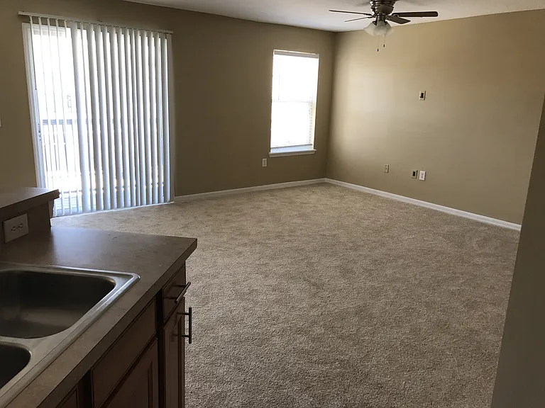 4020 Pemberly Pines Cir — Photo 10
