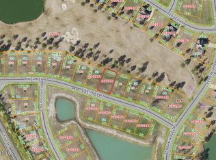 92 Pine Tree Point, Snow Hill, NC 28580