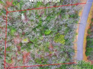 M91 Pine Mountain Trl UNIT M91, Brevard, NC 28712