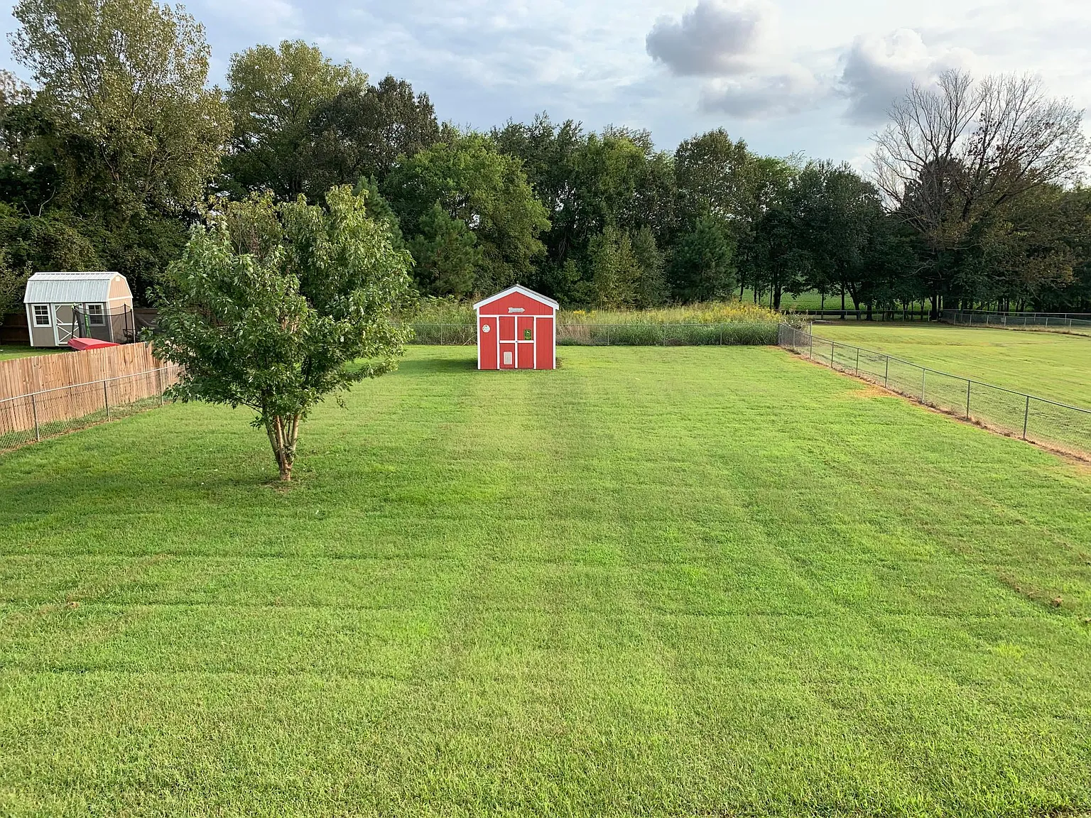 10447 Bell Station Road — Photo 3