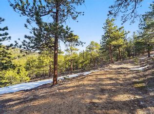 854 Crescent Lake Rd #29, Golden, CO 80403