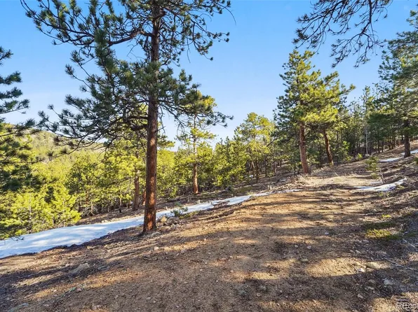 854 Crescent Lake Road LOT 29, Golden, CO 80403