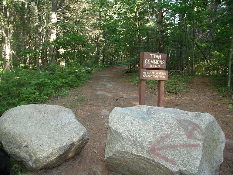 Middle Bay Rd — Photo 32