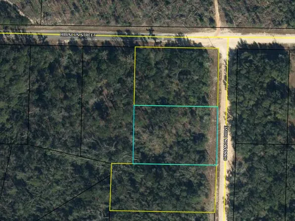 LOT 119 Cinnamon Dr, Marianna, FL 32448