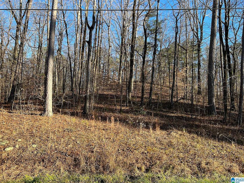 2nd image of Ridgewood Drive Lots 21 And #22