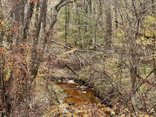 116AC SE County Road 132, Jasper, FL 32052