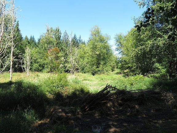 3rd image of 132 Roslyn Ln
