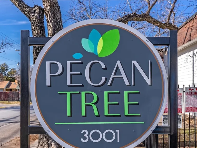 Pecan Tree 20