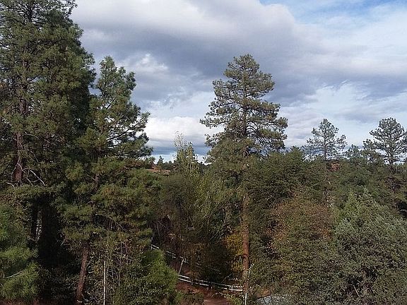 view from deck