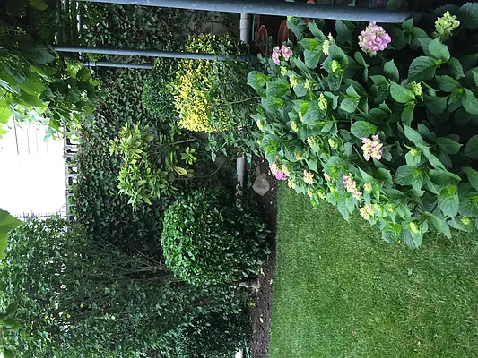 Rented by Global City Realty | media 36