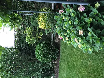 Rented by Global City Realty