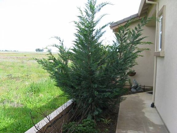 Walkway to front door