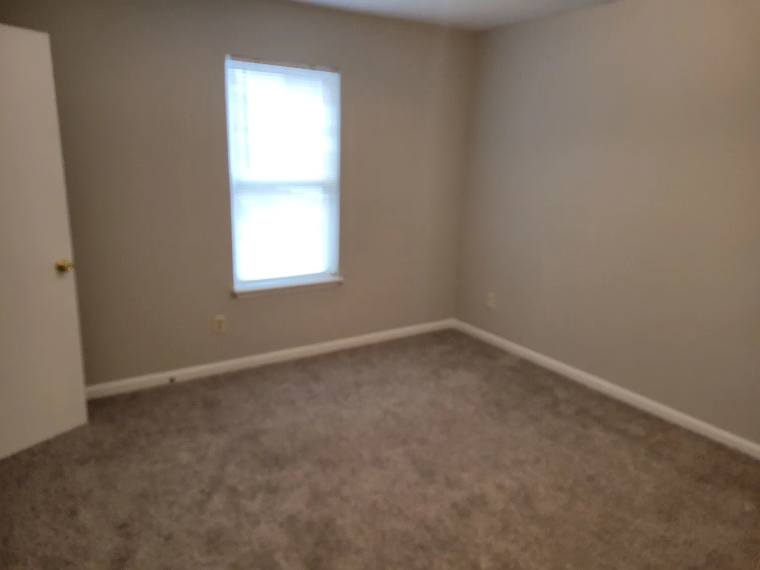 Conifer Court - 15 — Photo 4