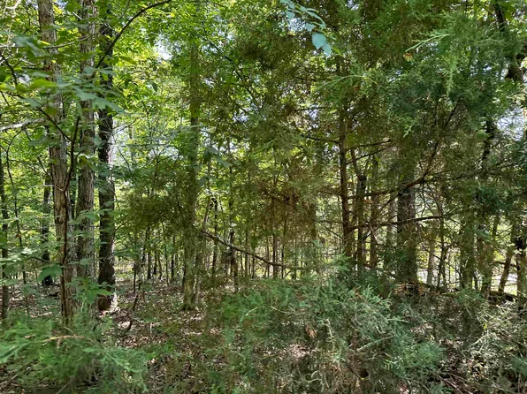 0 Mc #7097, Flippin, AR 72634