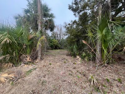 1312 Washington Street, Palatka, FL, 32177