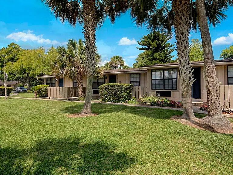 Nova Wood — Photo 4