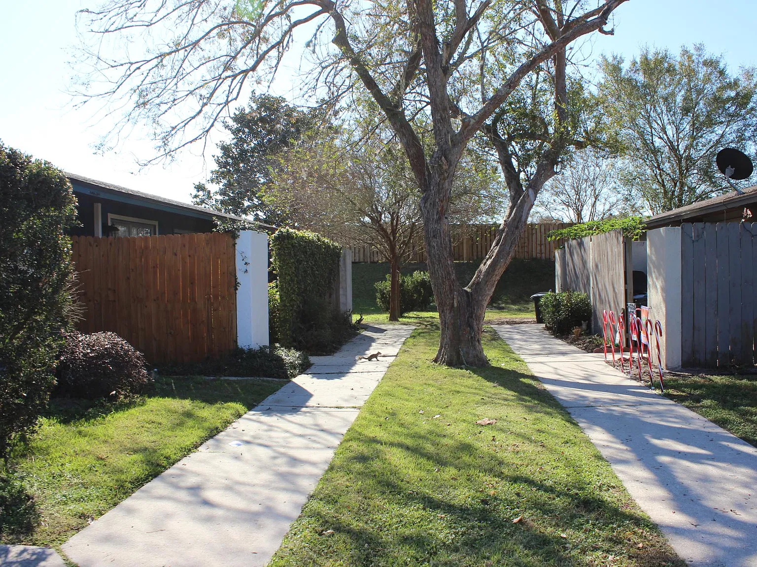 2 bed, 950 sqft, $1,395 — Photo 3