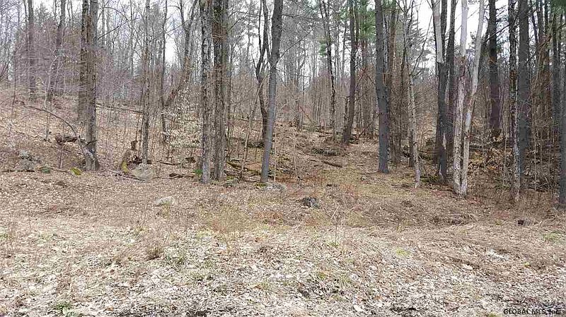 3rd image of 0 MILLER Road