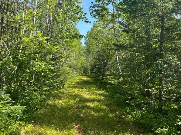 1961 Town Rd #118, Birchdale, MN 56629