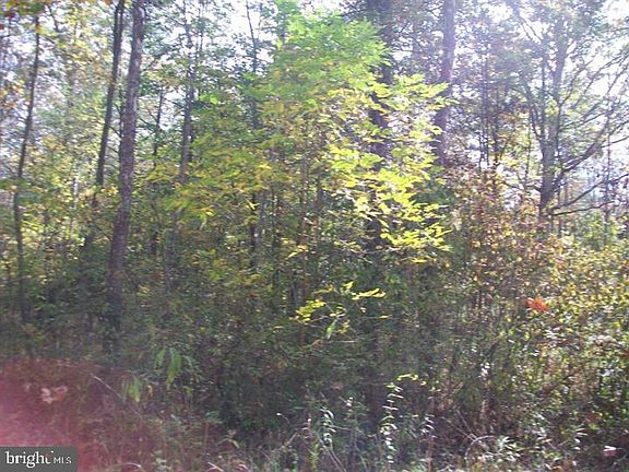 3rd image of Autumn Ln