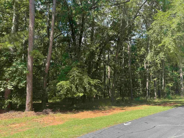 1101 Bennett Springs Dr #113, Greensboro, GA 30642