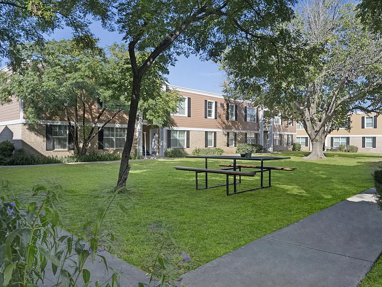 Golden Crest — Photo 19