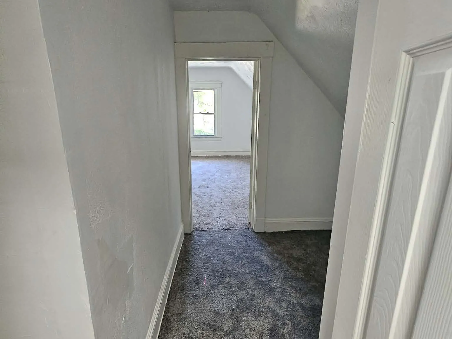 1 bed, $750 — Photo 3