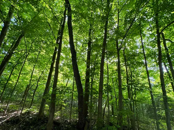 0 S 12th St, Mc Millan, MI 49853