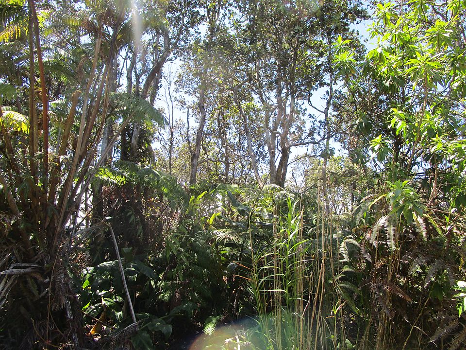 1st image of Nahelenani St Lot 53-B-359