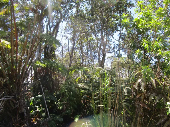 Nahelenani St Lot 53-B-359, Volcano, HI 96785