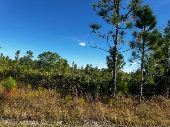 Pinnata Dr, Lake Wales, FL 33898