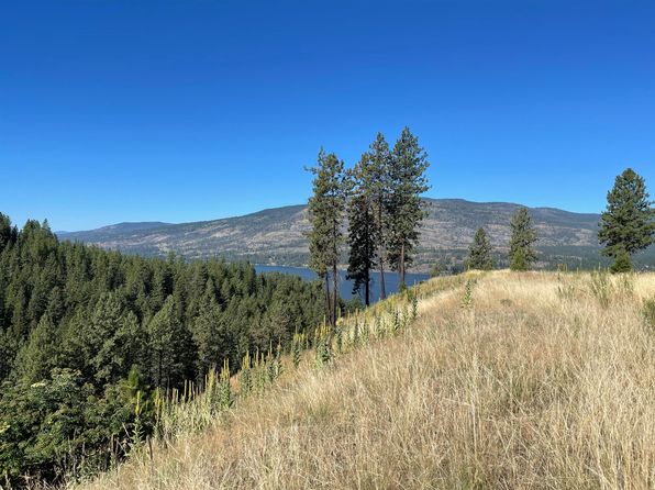 16XX Pingston Creek Rd, Kettle Falls, WA 99141