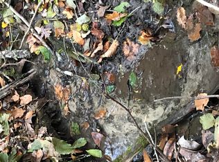 Quail Run Rd, Daviston, AL 36256