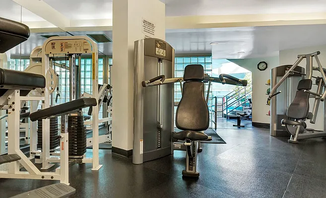 Rented by Douglas Elliman | media 27