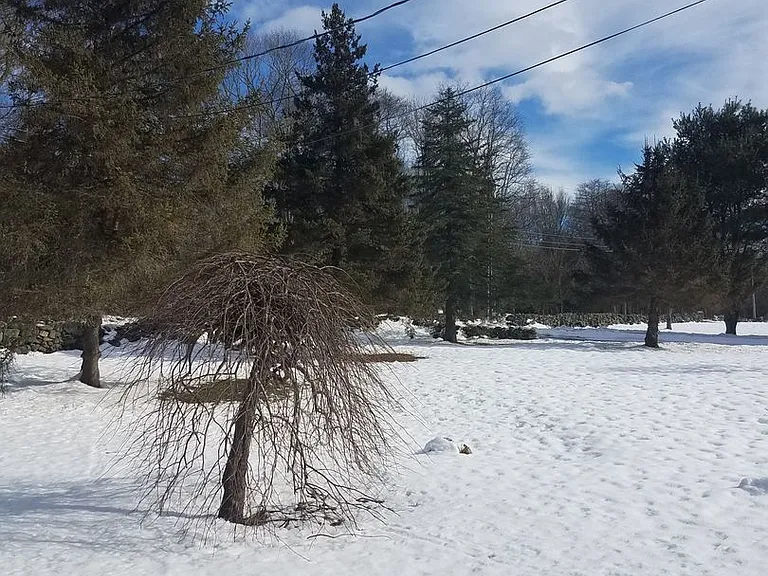 105 Jeremy Hill Rd — Photo 19