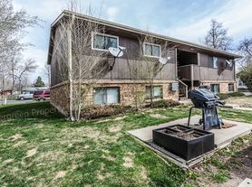 211 N Shields St, 4