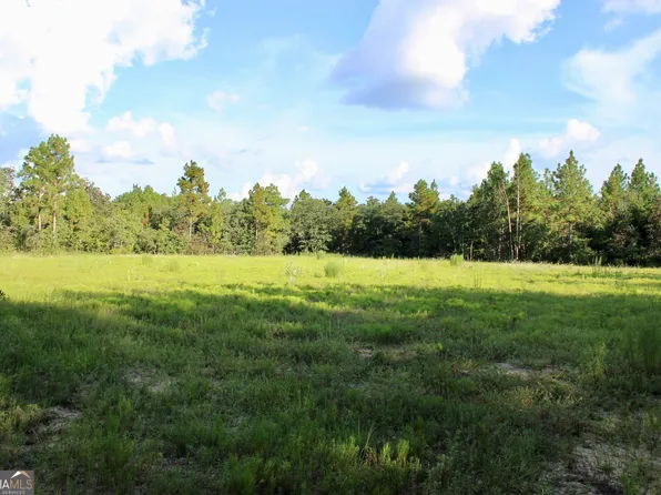 467 McCall Rd, Butler, GA 31006