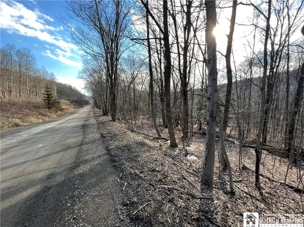 0 Brennan Rd #21, Ellicottville, NY 14731