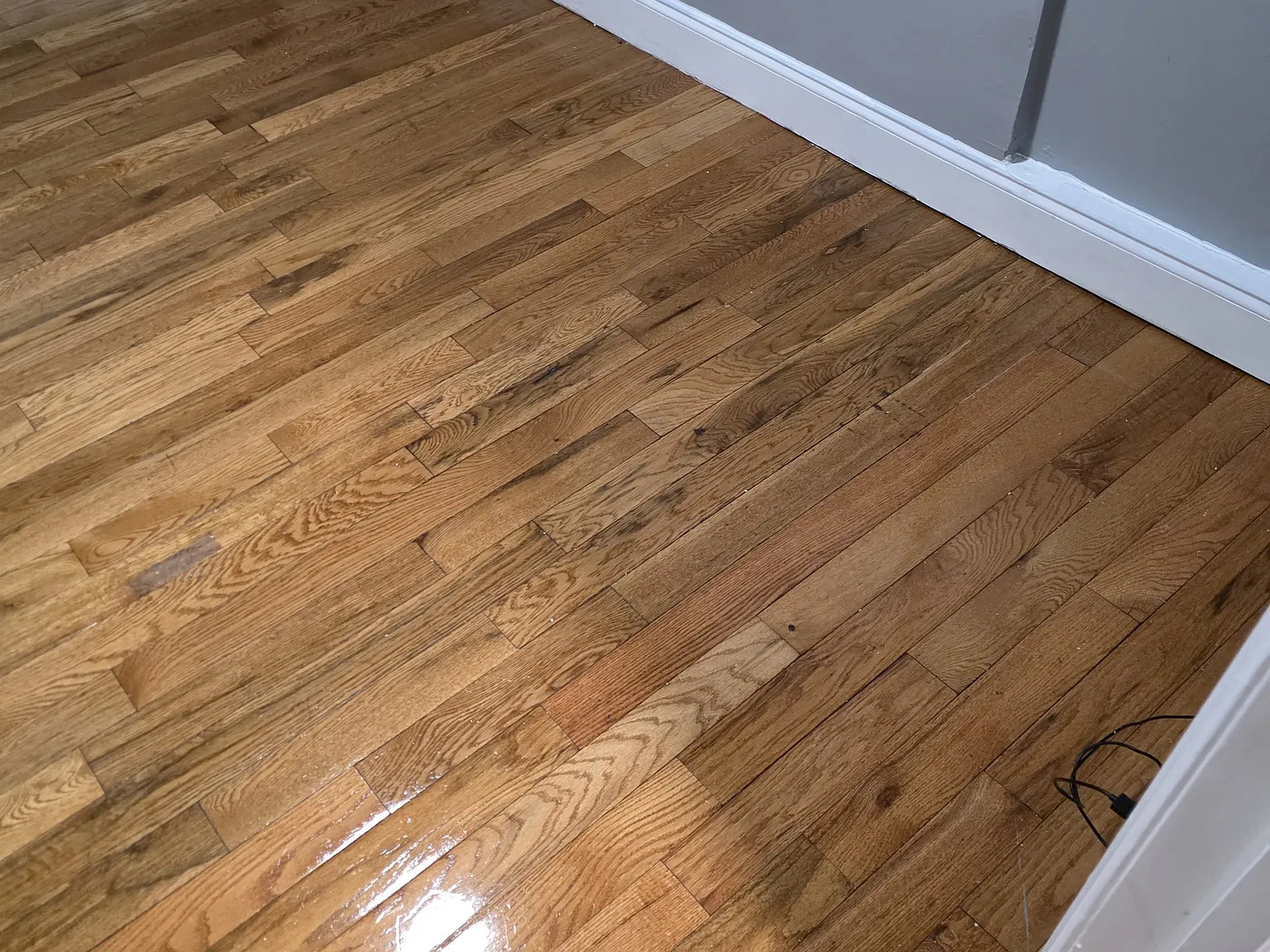 2 bed, 900 sqft, $1,300 — Photo 4