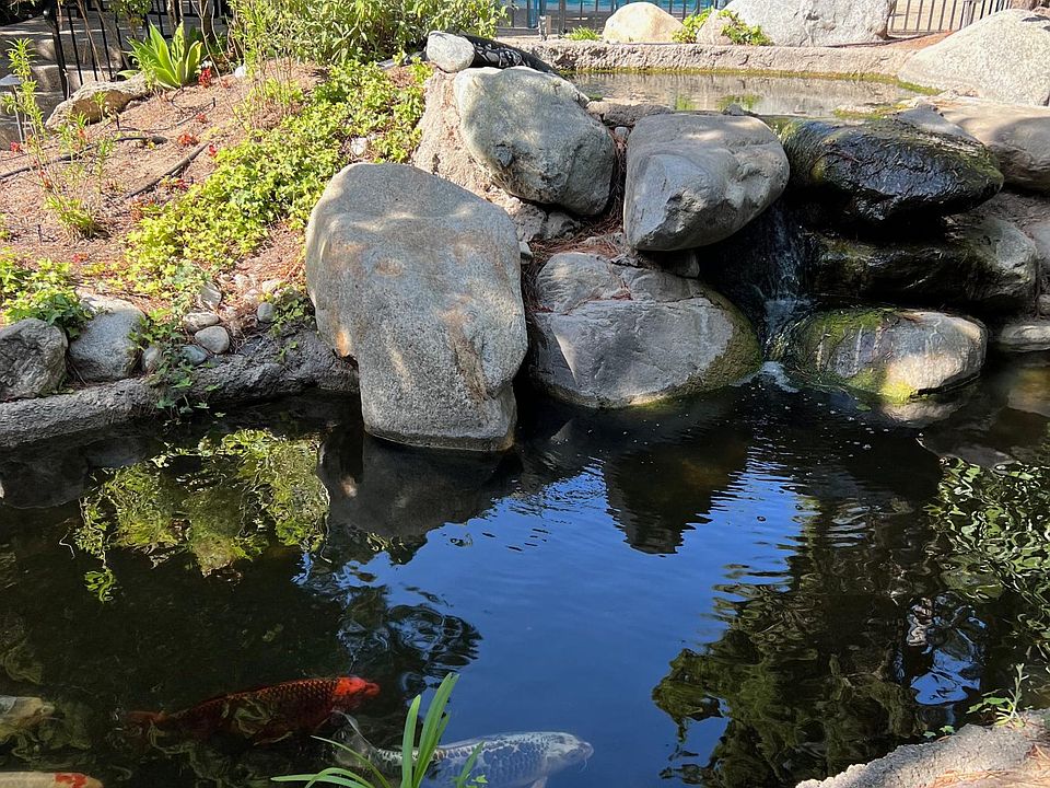 View of patio from livingroom