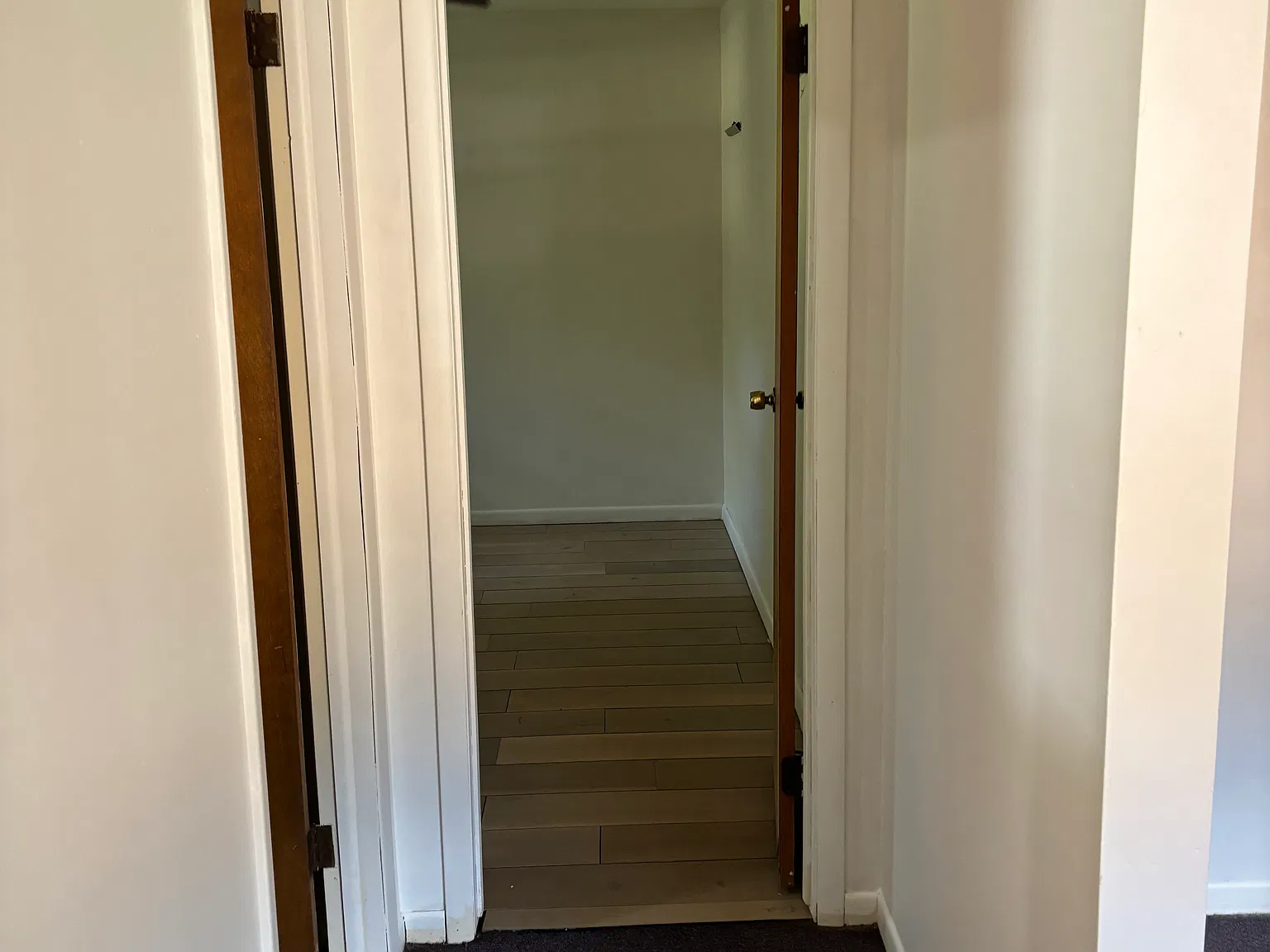 1 bed, 479 sqft, $600 — Photo 2