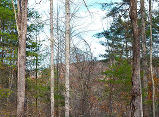 390 Joyful Way, Jumping Branch, WV 25969