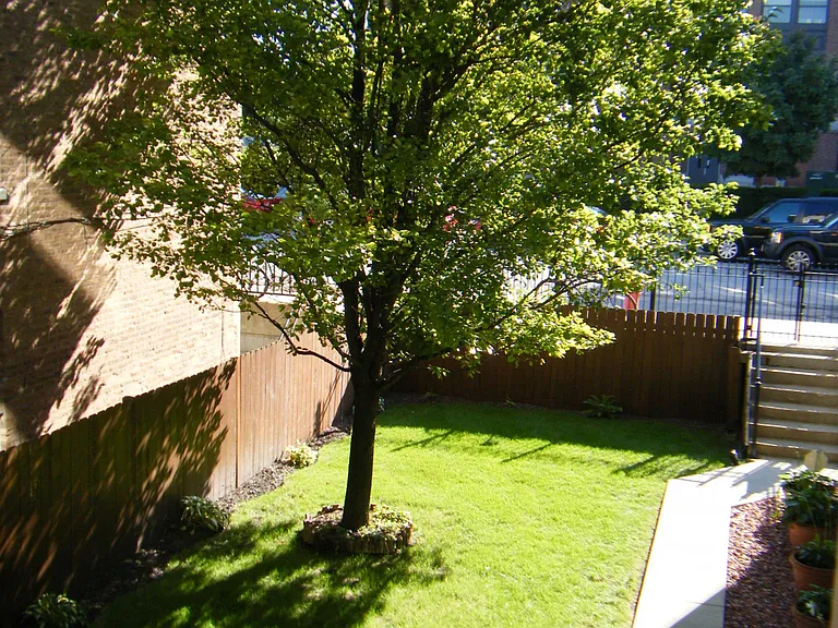 Front Yard