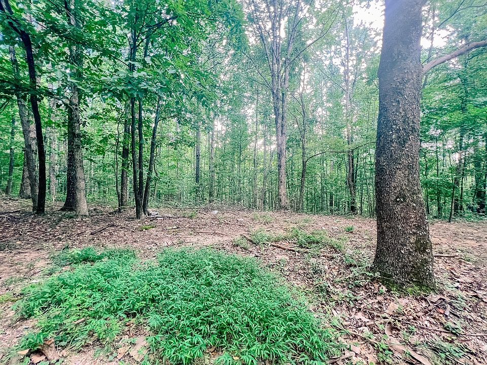 2nd image of 435 Kirby Hill Rd
