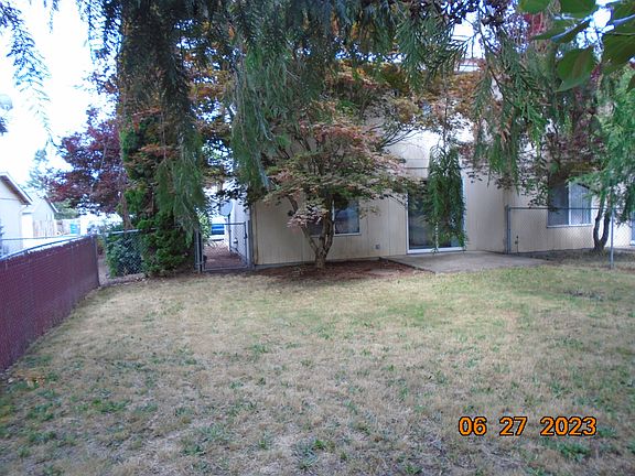 Back yard