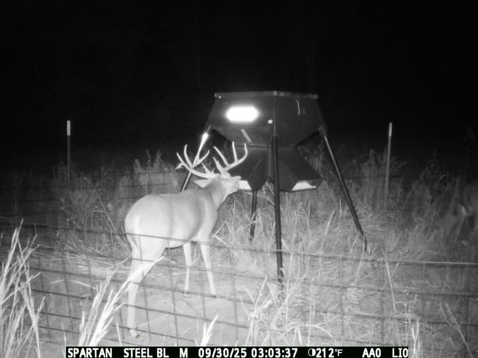 4159256922 Frame At 0m7s