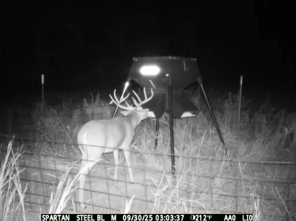 Ns 383 Rd, Calvin, OK 74531